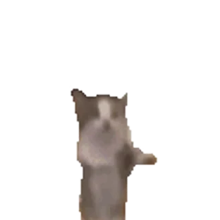 Happy³ @stickerowo @goats_meme