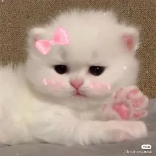 💖