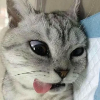 🤪