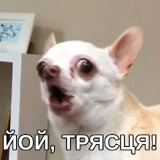 😵