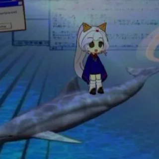 🐬