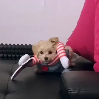 🔪