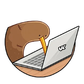 💻