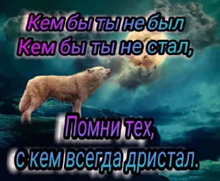 🐺