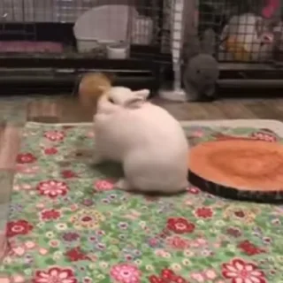 🥛