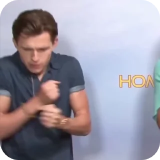 🕷️