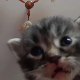 😐