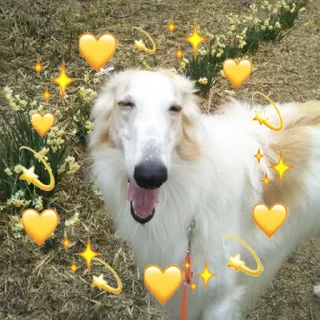 ❤️