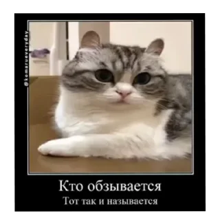 😶