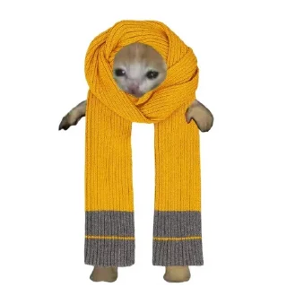 🐱