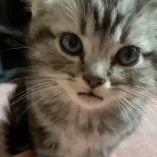 🙄