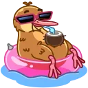 😎