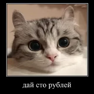 😃