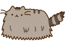 🐱
