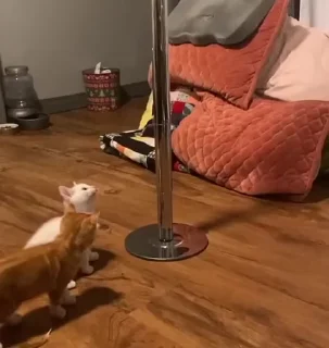 ❤️