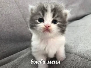 😳