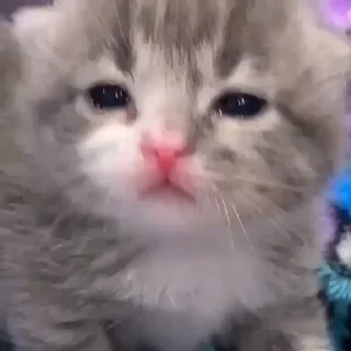 😕