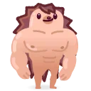 💪