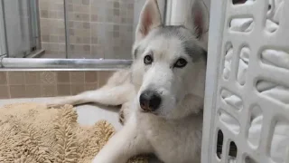 🌟