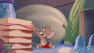 🥪