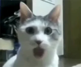 😮