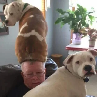 🙄
