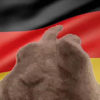 🇩🇪
