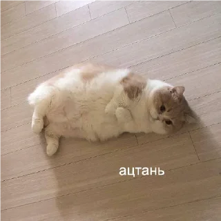 😞
