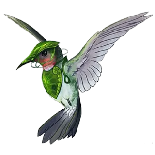 🦚