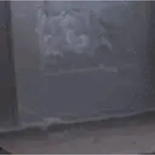 🐱