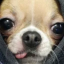 😛