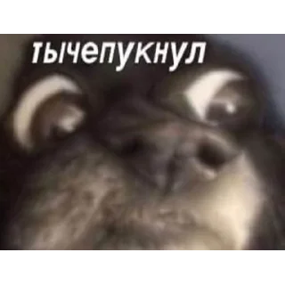 🤢