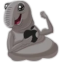 @AppStorePlus ✓
