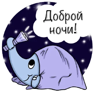 🌙