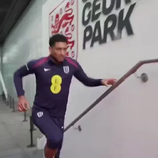 🤍