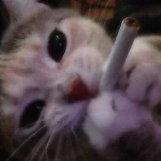 🚬