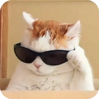 😎