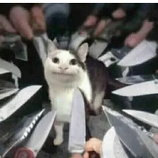 🫠