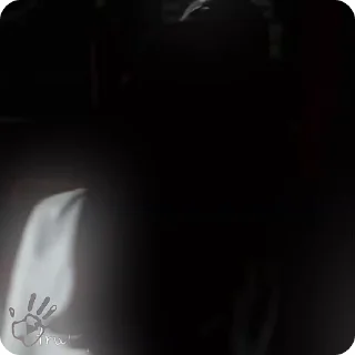 🫧