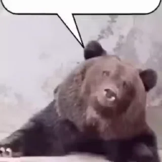 💬