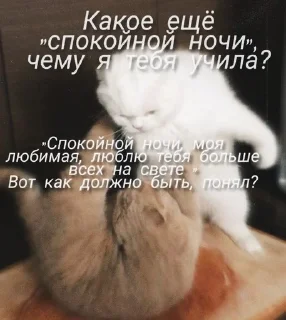 🤍