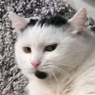 😶