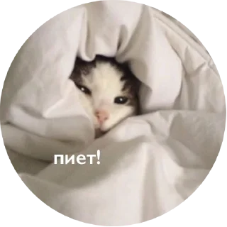 👋