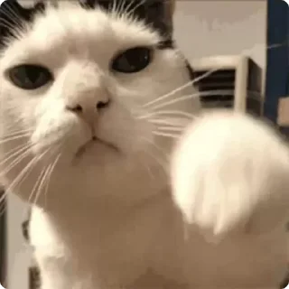 👊