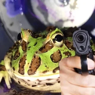 🔫