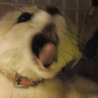 😱