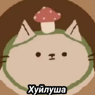 🐱