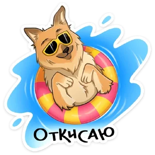 😎