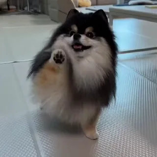 👋
