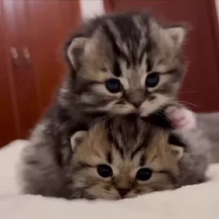 😍